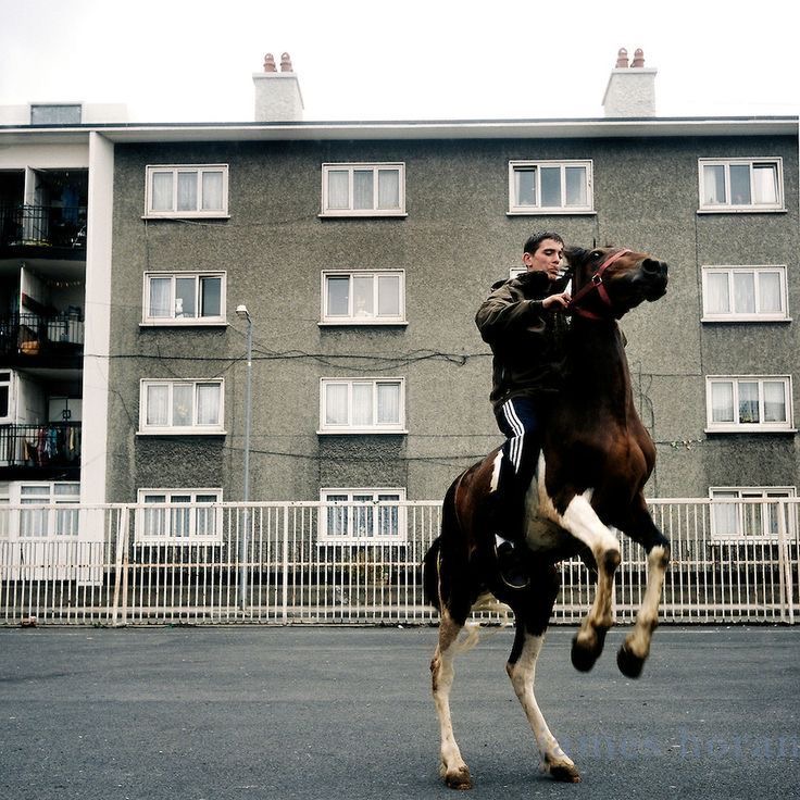irish horse culture